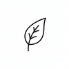 Eco-Friendly Lifecycle